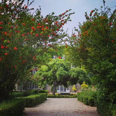 Chateau De Floure - Et Piscine Exterieure Chauffee Дом отдыха *