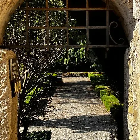Chateau De Floure - Et Piscine Exterieure Chauffee * カルカソンヌ